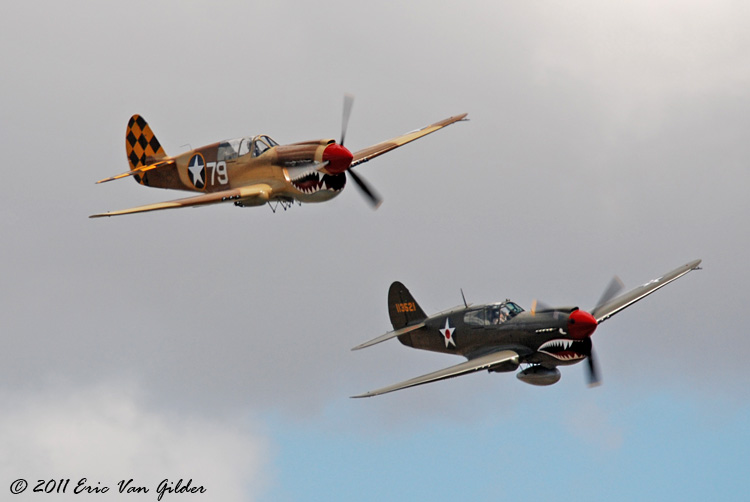P40 Warhawk