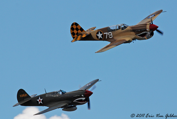 P40 Warhawk