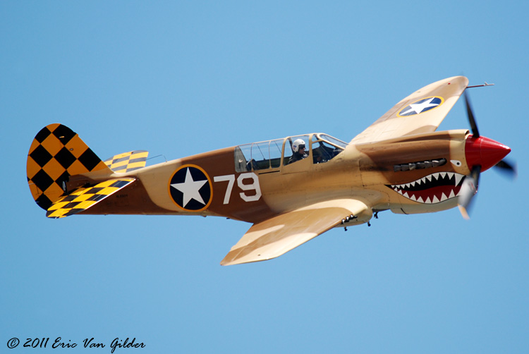 P40 Warhawk